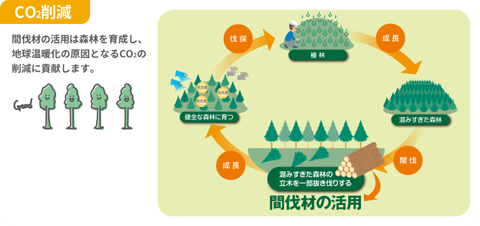 Co2팸