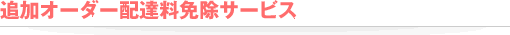 ǉI[_[zBƏT[rX