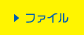 t@C