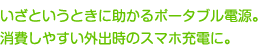 ƂƂɏ|[^udB₷OõX}z[d